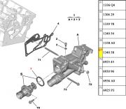 134058-Anel Oring da Valvula Termostatica