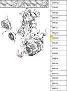 5750VG-Correia do Alternador / Medida 6Pk-1725