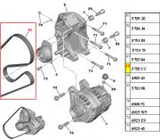 5750YC-Correia do Alternador / Medida 6Pk-1450 (SEM AR E SEM DH)