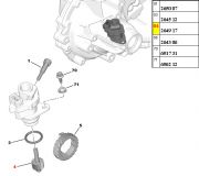 264917-Pinhao do sensor de velocidade - 18 Dentes