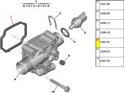 1336Z1-Junta do Suporte da Valvula Termostatica