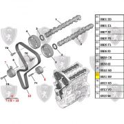 0831V1-Kit Correia Dentada/ Medida 134x25x12