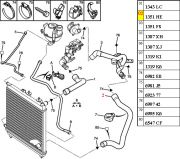 1351AX-Mangueira Inferior do Radiador