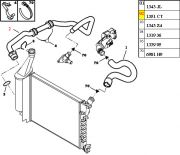 1351CT-Mangueira Inferior do Radiador