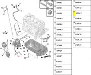 1131C5-Sensor de Pressao do Oleo - 1 Pino